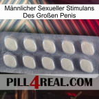 Männlicher Sexueller Stimulans Des Großen Penis 08
